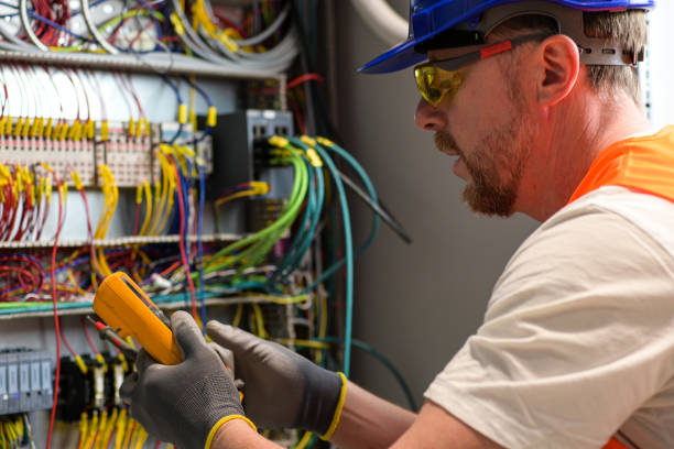 Best Electric Panel Repair  in Cottage Grove, WI